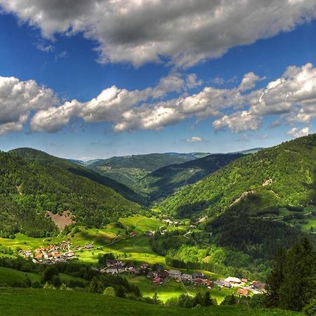 Urlaub Auf 1.000 Meter Hoehe Mit Pool Und Sauna Schönwalde Exteriör bild