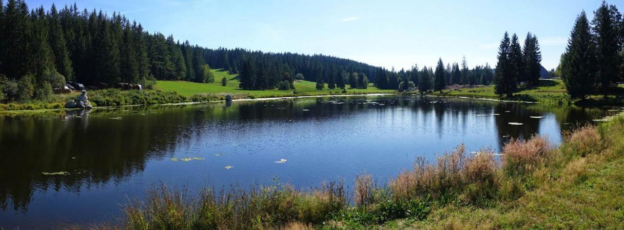 Urlaub Auf 1.000 Meter Hoehe Mit Pool Und Sauna Schönwalde Exteriör bild