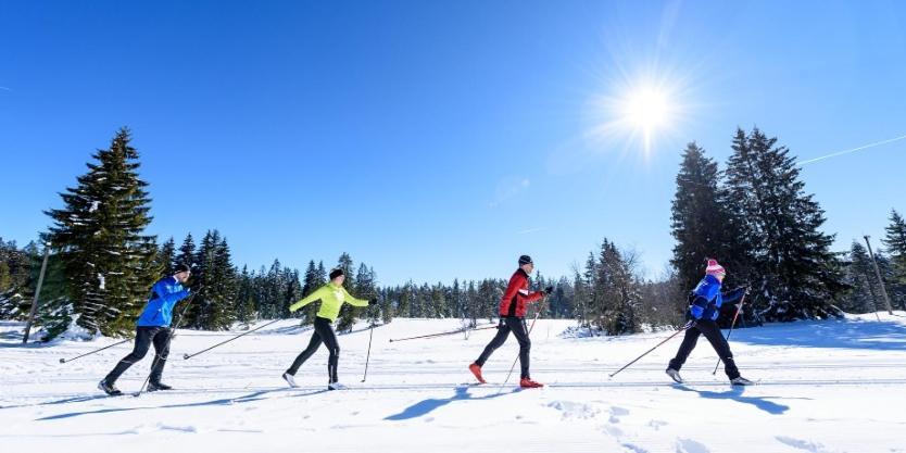 Urlaub Auf 1.000 Meter Hoehe Mit Pool Und Sauna Schönwalde Exteriör bild