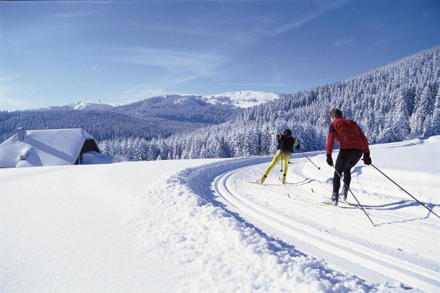 Urlaub Auf 1.000 Meter Hoehe Mit Pool Und Sauna Schönwalde Exteriör bild
