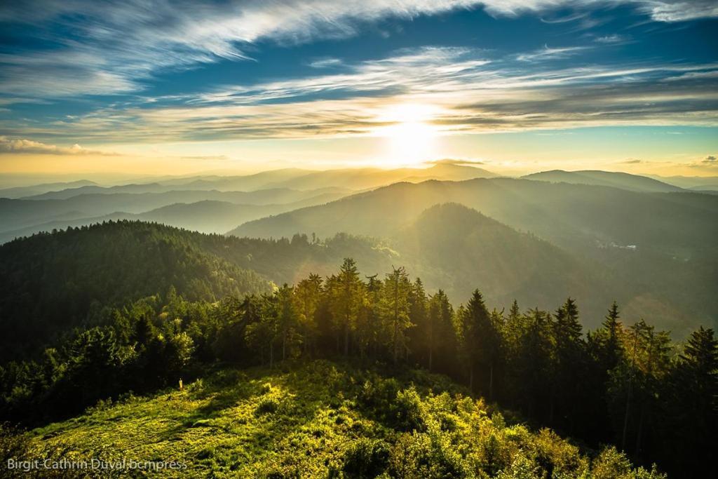 Urlaub Auf 1.000 Meter Hoehe Mit Pool Und Sauna Schönwalde Exteriör bild
