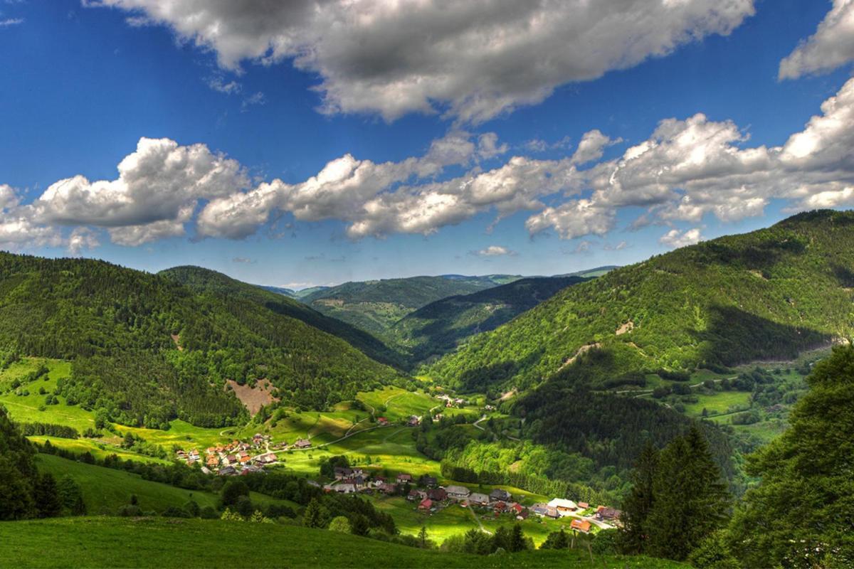 Urlaub Auf 1.000 Meter Hoehe Mit Pool Und Sauna Schönwalde Exteriör bild